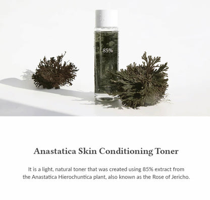 Anastatica Skin Conditioning Toner, 250ml
