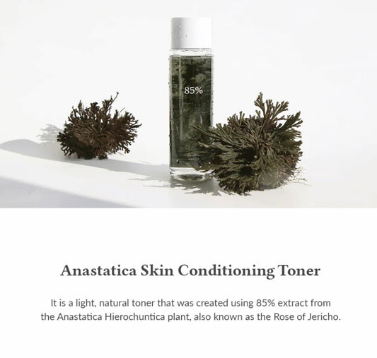 Anastatica Skin Conditioning Toner, 250ml